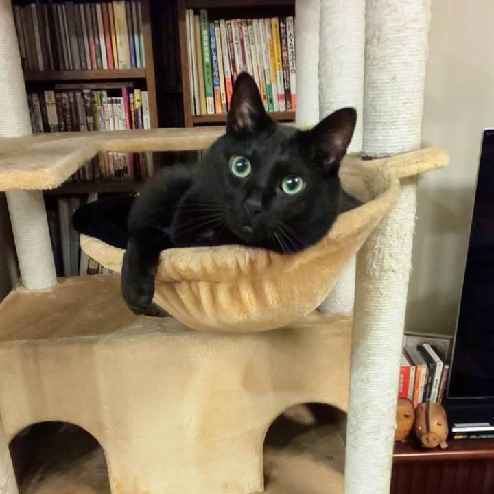 Efebdc92 957f 4654 b5ac 2d41f8b30bf7 1747235472688