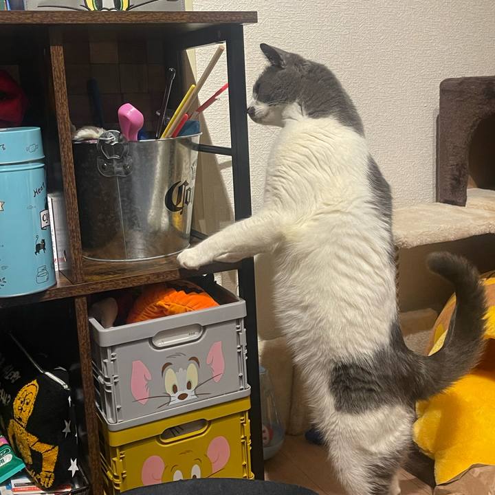 Efebec91 24b9 49d3 8450 cee0523f1fc7 1710868275028