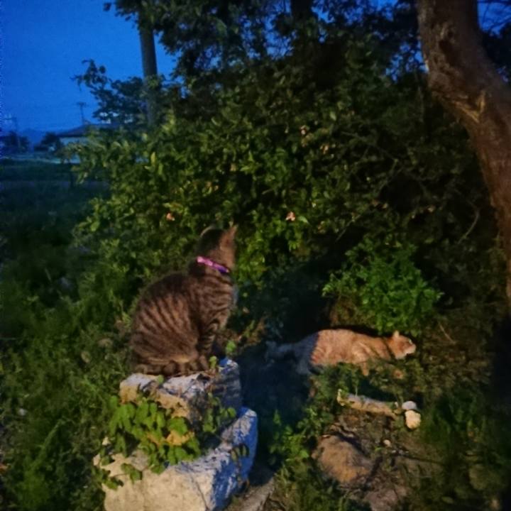 Efebf11d 1c8f 450e 9d65 94b5796f48b8 1652610239188