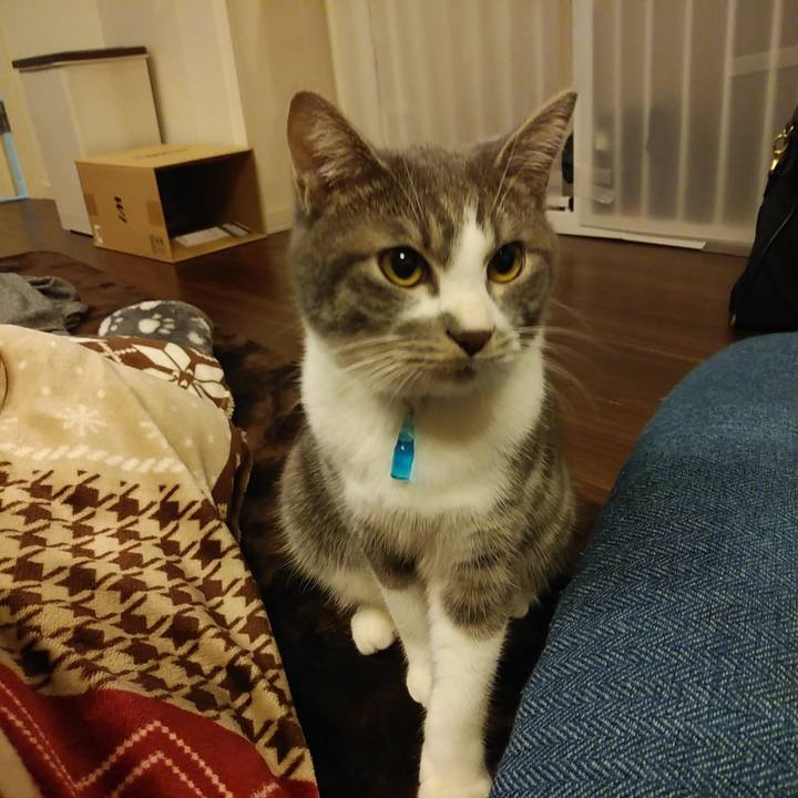 Efec1f8e eb97 4a71 9cac 46b5852fc4f1 1577196205959