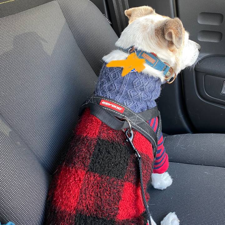 Efec325f 7a0a 4302 898d ee0f34e54cd3 1639792461043