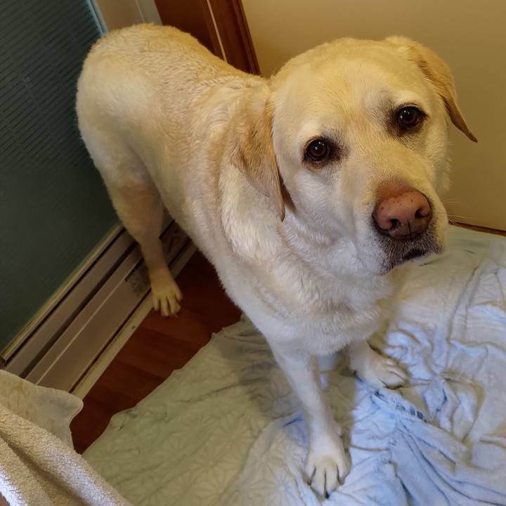 Efec33c1 2896 4067 891a 5ad069dda863 1714286153869