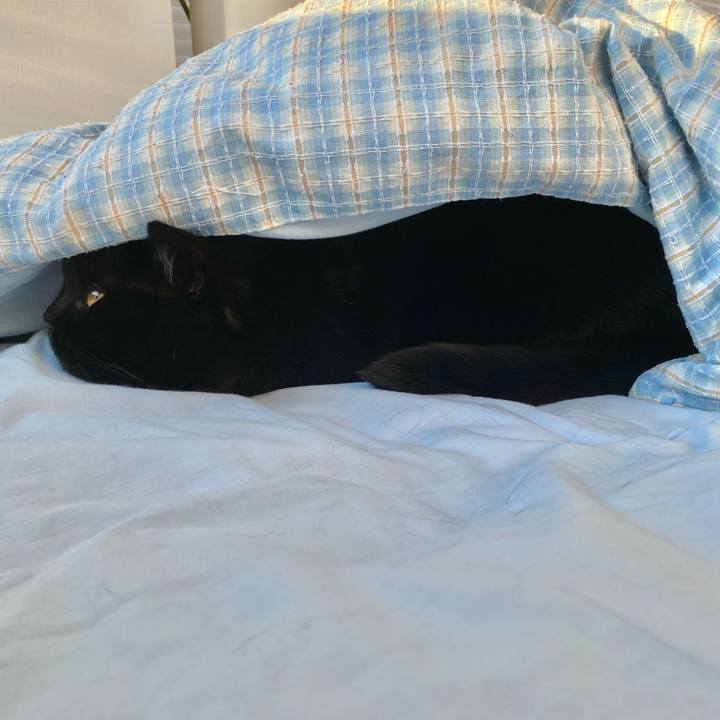 Efec6ca0 2b70 4601 9bc4 fcae7bc0d929 1679299138200