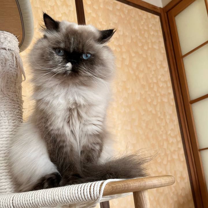 Efec8abc 8d7c 4d73 9585 2cb107244bc1 1765628001650