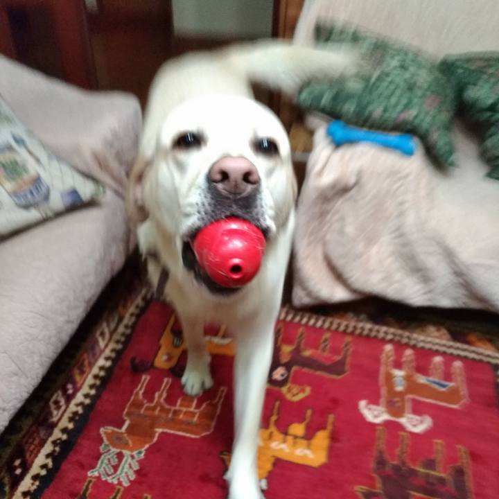 Efec8b6f 8a42 4b44 9283 78b3e22781a7 1556018566694