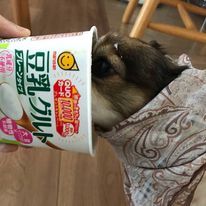 Efec8f93 1c56 4ccf 9ad5 596de7664232 1559693219556