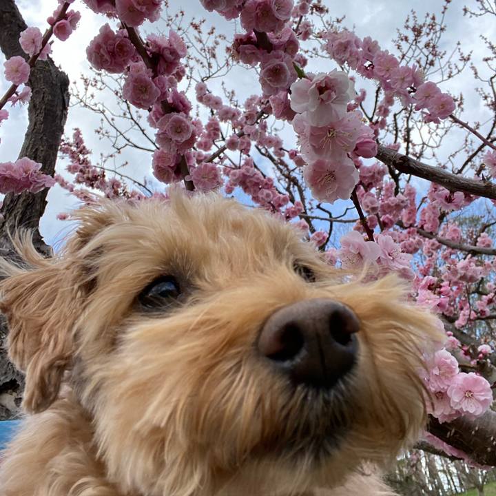 Efecaff4 323b 42c4 b5bb deb207fe03a8 1651970551013