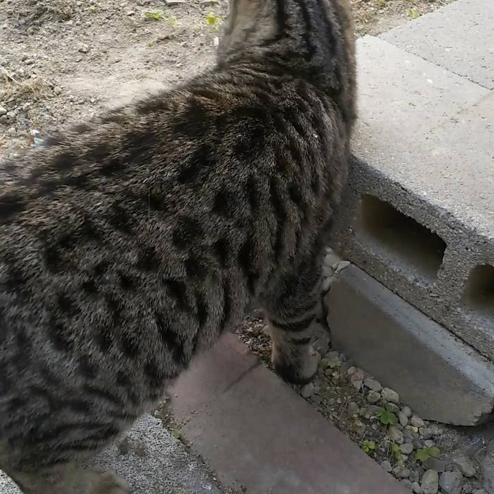 Efecc502 acc2 42a9 8bb5 3b17b9c3ca79 1554627722823