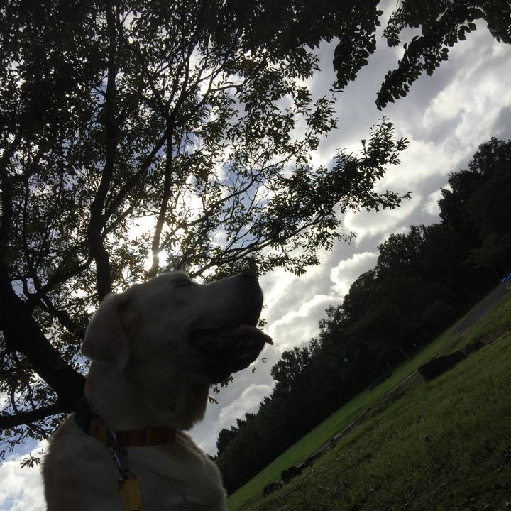 Efed1ff9 e775 4973 893f c11422a17cd7 1598440320592