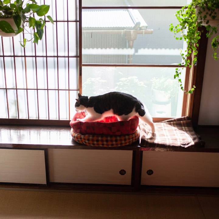 Efed2639 b18e 42bb b298 f8d232f649cc 1584430961447