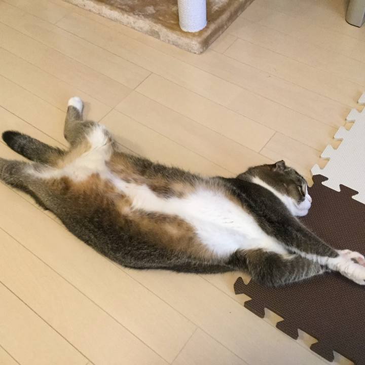 Efedb340 1652 4c26 8e9b f4527864c9b3 1549154180840