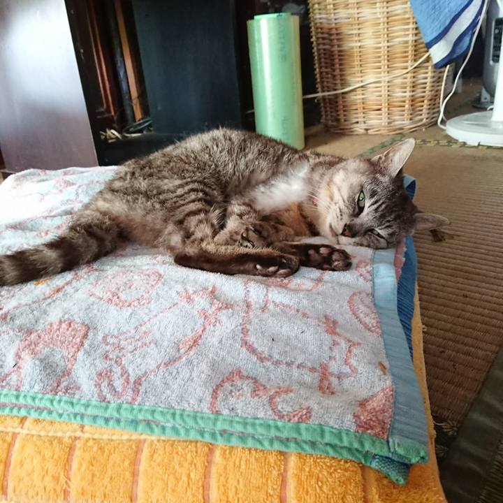 Efedd047 3680 4f27 9e3a bd7dbea5829c 1595649857730