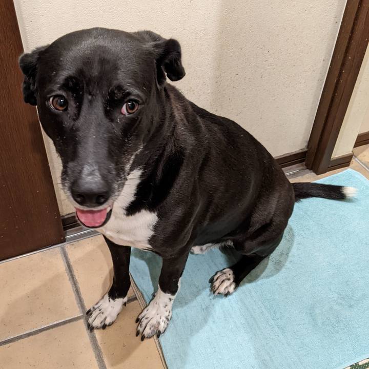 Efee1aa3 50b5 4639 b336 282bb062a831 1667213266231