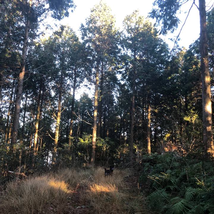 Efee2755 80bc 4388 beda 37487d583f51 1675162195044