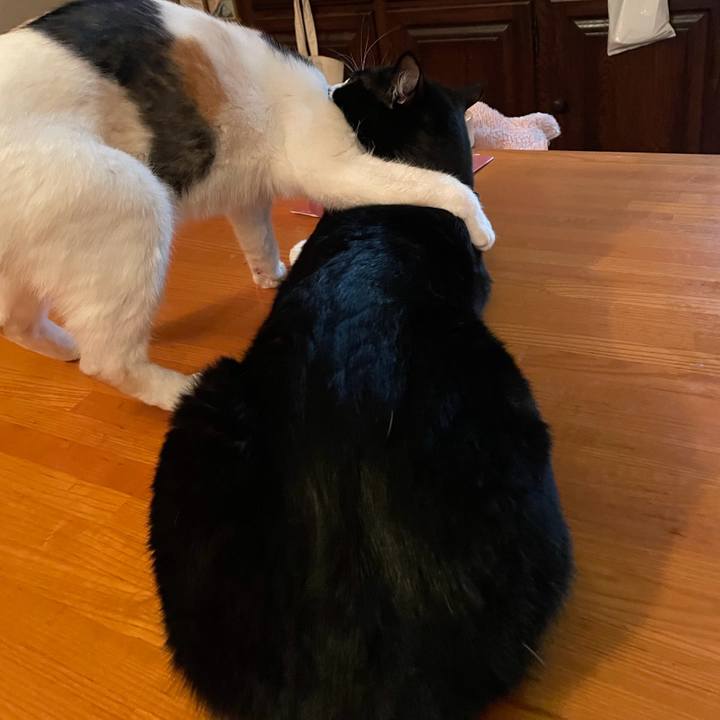 Efee5c85 c607 4b14 b946 67fe8e5bbc73 1736426233980