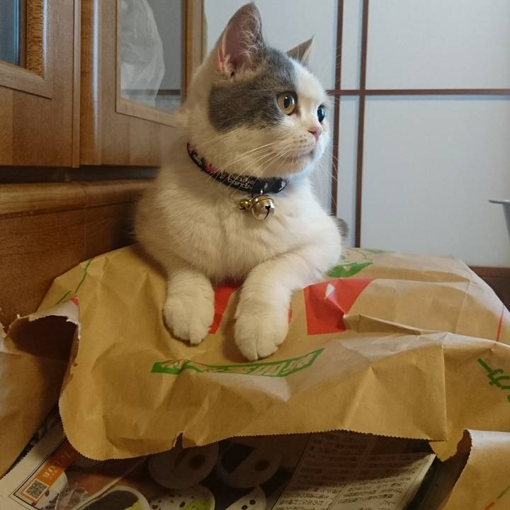 Efee5f1e e2a5 47e5 bf50 ae34cd777eee 1559259108723