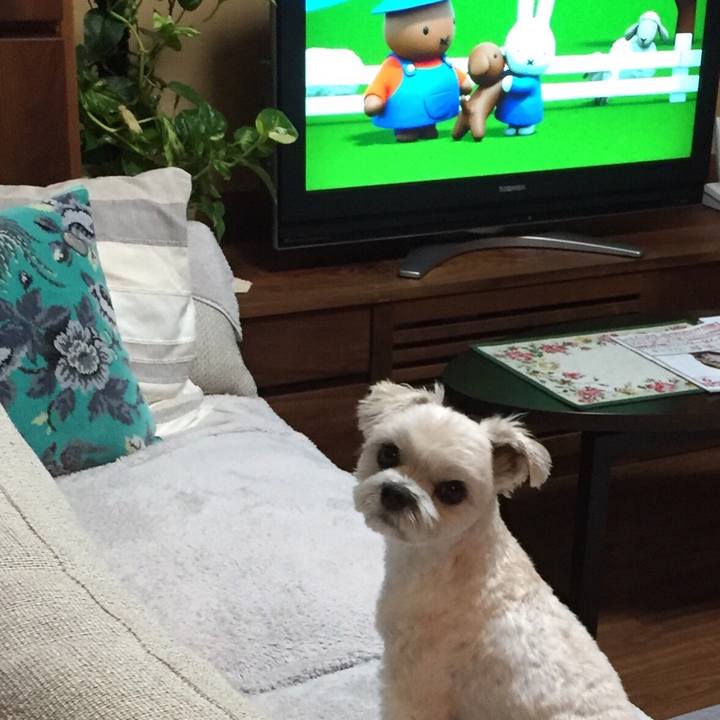 Efee7707 687b 4269 a0b5 9204efb57415 1508325489977