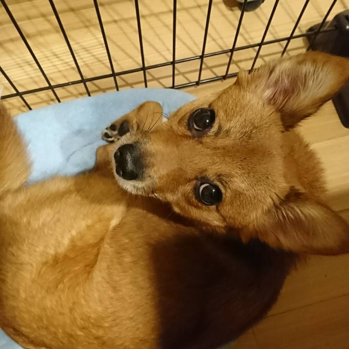 Efee8269 176e 4605 8e97 13dc7769bdeb 1509881614567