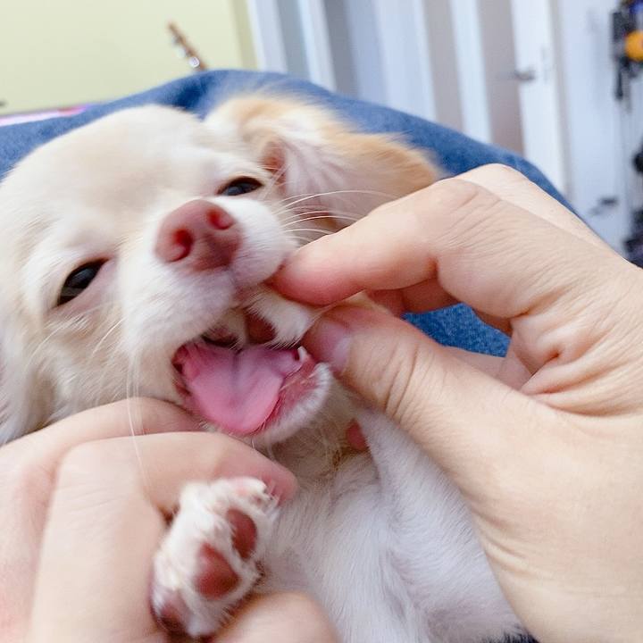 Efee9b43 8629 4189 99d0 b8833d76c7ea 1596689937848