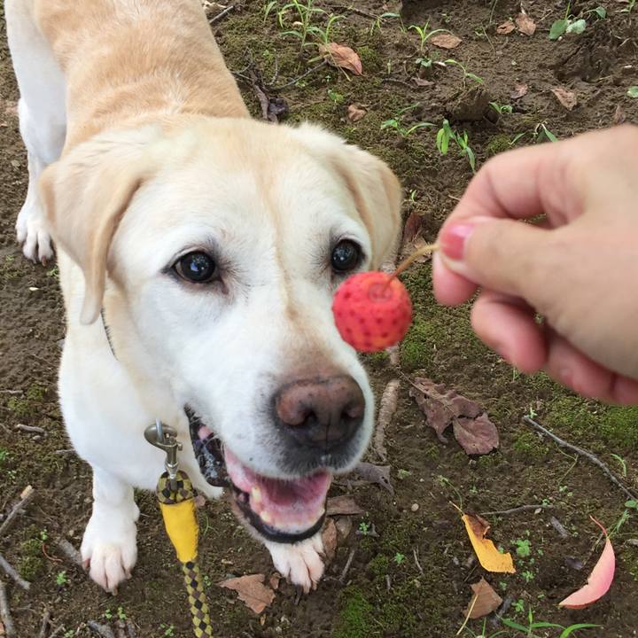 Efeeb59c f338 4455 b026 9da90ebc14c6 1667478567658