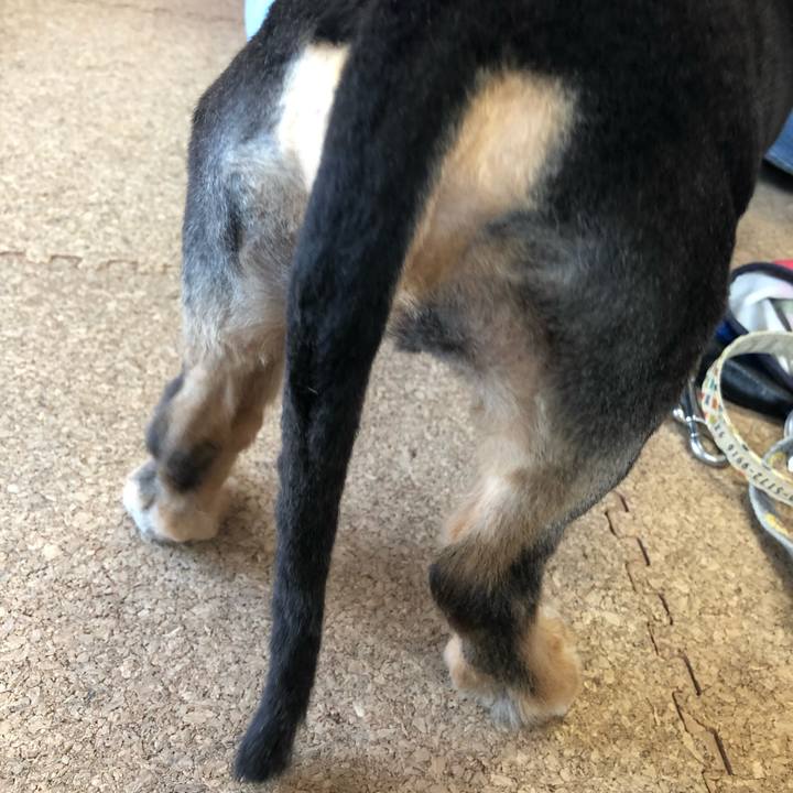 Efef4220 1947 445f 86c5 2aedd0fa32ae 1626603207957