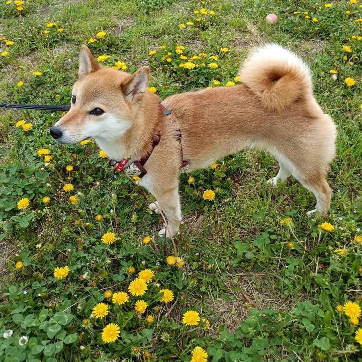 Efef49fe 5144 46c0 80fb 5f364bd9a3a0 1745108515620