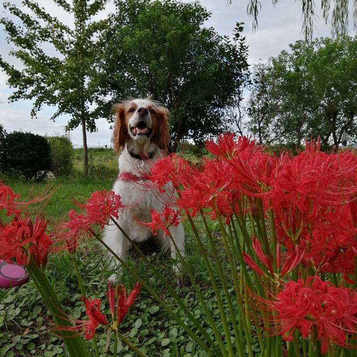 Efef54e5 8739 4486 b4d0 73c552b37e44 1632048962090