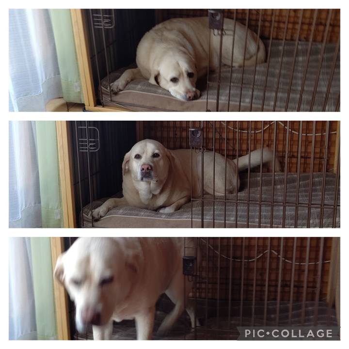 Efef977b 06c6 46a2 ae8a ce87adbaf8ad 1678443836690