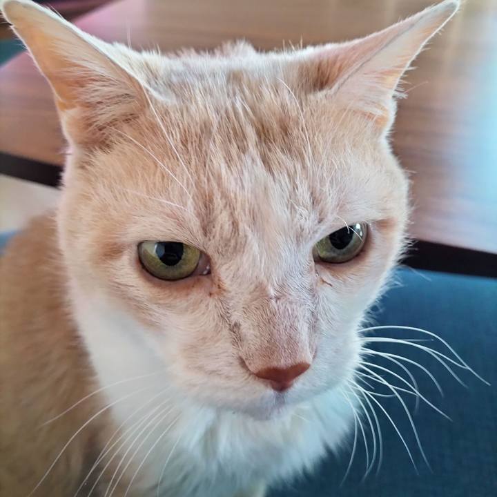 Efef9817 eeef 4e69 b0f5 fd2cd9443473 1705444278413