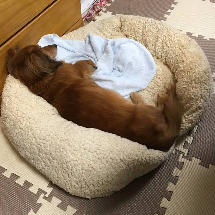 Efef9cf2 9d8d 4ac3 9c45 463c4cfca295 1572174809252