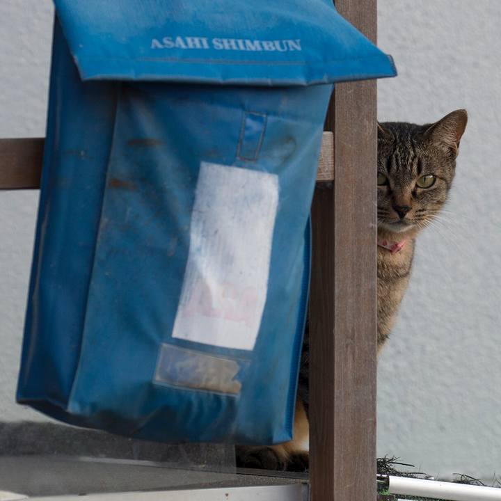 Efefbed4 84b4 4b17 b7f9 a229f5c1c990 1533562109095