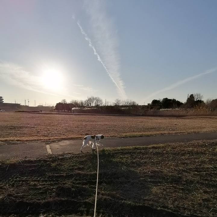 Efefcec0 09d5 4352 97b7 17da8b1d362b 1578731631836