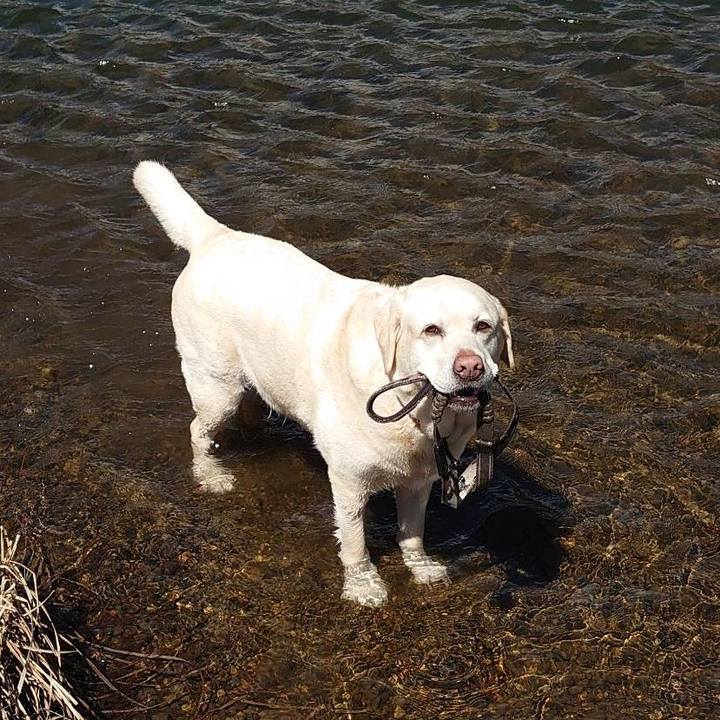 Efefd771 1211 477b 9468 034147af06ed 1745977553430