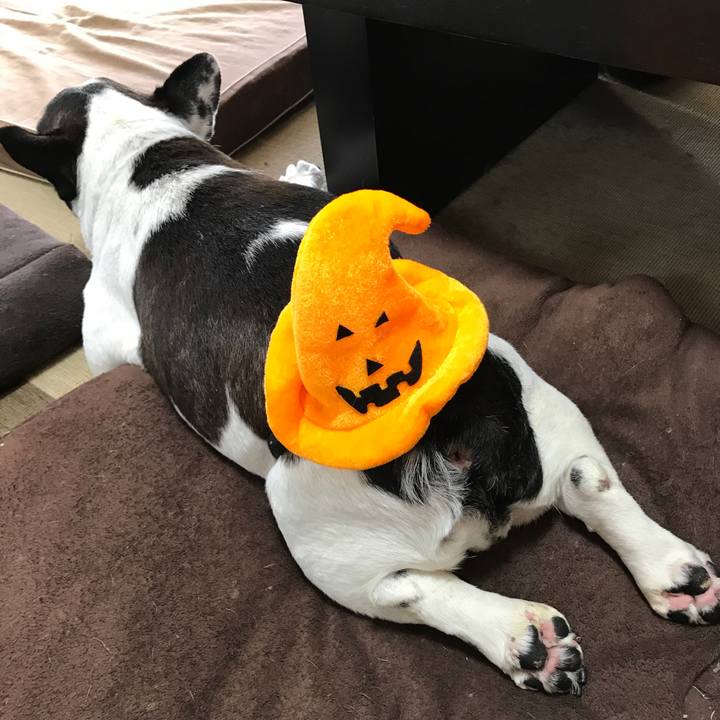 Eff0252e e3ef 4693 9c60 f90f92d61493 1509424813992