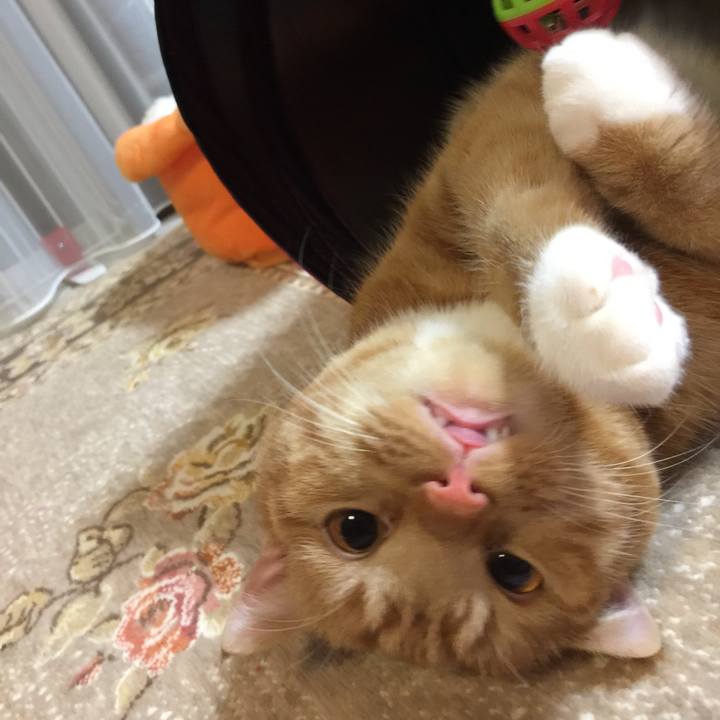 Eff036d4 06ed 4da4 aa81 e6d636249d76 1512303083934