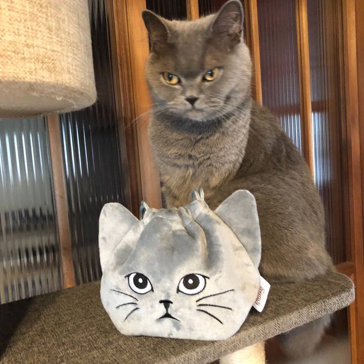 Eff0386c 2d07 493e 87a7 cdb08ab3357d 1596867019324