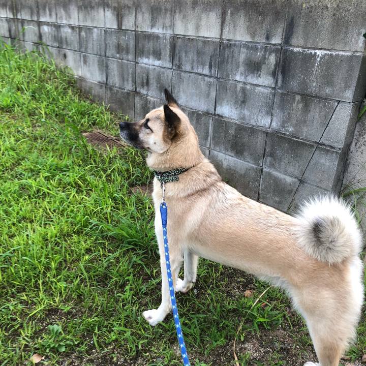 Eff057ee d866 403d 944c 66e42628e320 1596200288434