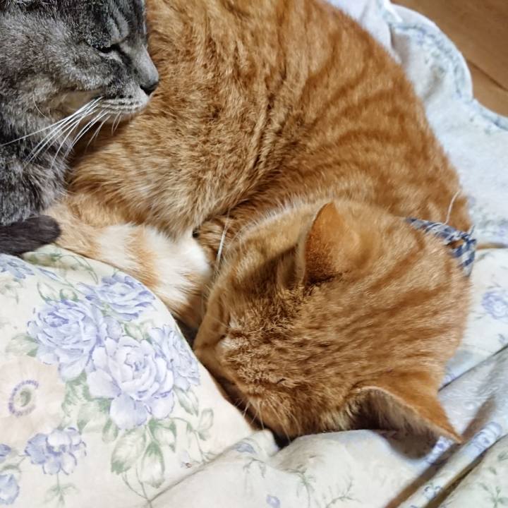 Eff0b6a4 3f3a 40ec a484 aa2d5f1e4396 1575635976087