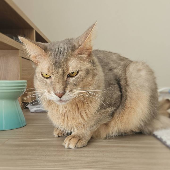 Eff0d44c fe62 4638 bb56 79d0deb2a0fb 1765854873232