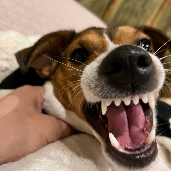 Eff10c40 6ed0 4243 b27c 57994316fe31 1713356997157