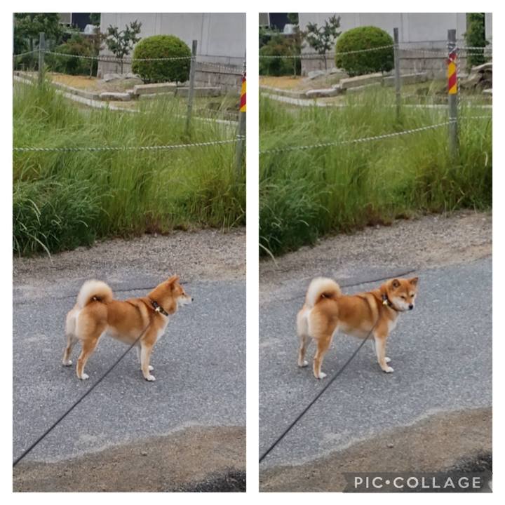 Eff114e5 4850 46c8 a4cd cf1a203caadd 1684792654712