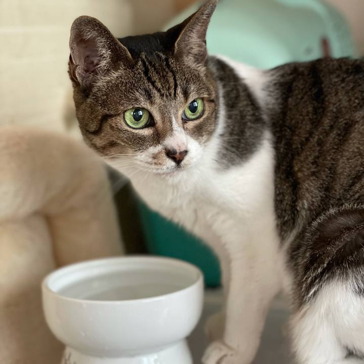 Eff11e98 1239 41eb 8661 c79f770d7c4d 1631064841080