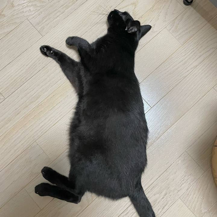 Eff12d98 0ae4 4bab b7f9 d7b97648a957 1686836329528