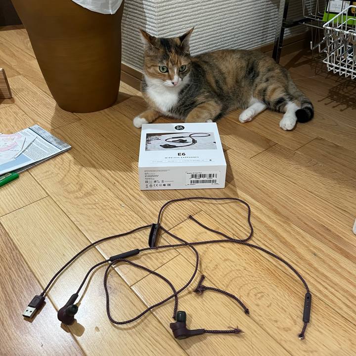 Eff17b02 3e8d 4d75 acd7 6fdf78846888 1691198088696