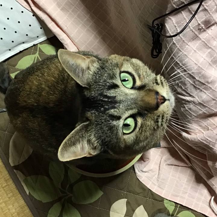 Eff18ade 843a 4f83 b4b2 4b07006953c4 1672834497779