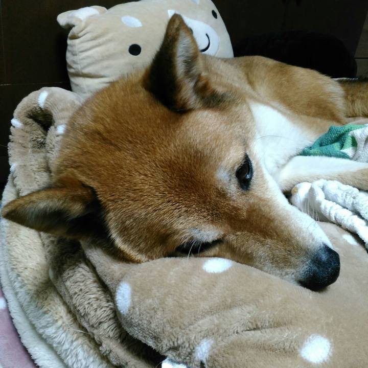 Eff1a29e 6208 47ed 9c6c 1149c84dbd50 1560683837499