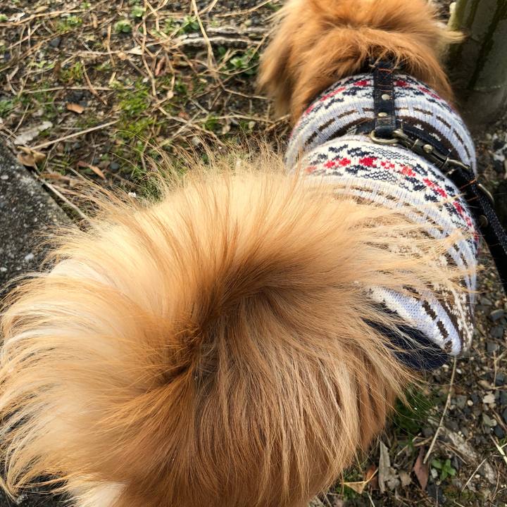 Eff1a862 2504 4ebf a785 44ec5ecfc30a 1517790566012