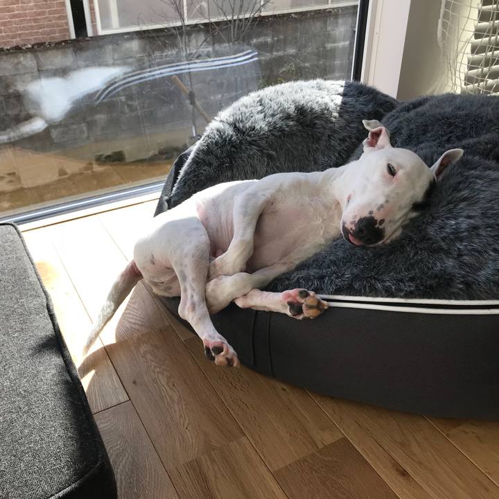 Eff1ab98 a20b 4dfb 8c3e 0b2e46608c13 1578741047251