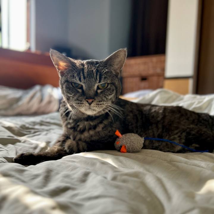 Eff1daf0 a6bb 4433 98cd b8ed296b6db7 1759239902522