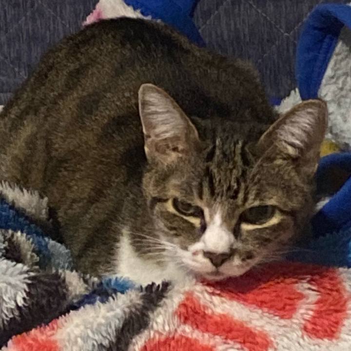 Eff1e889 4afb 474f b64b 4821dd3f018c 1696263158004